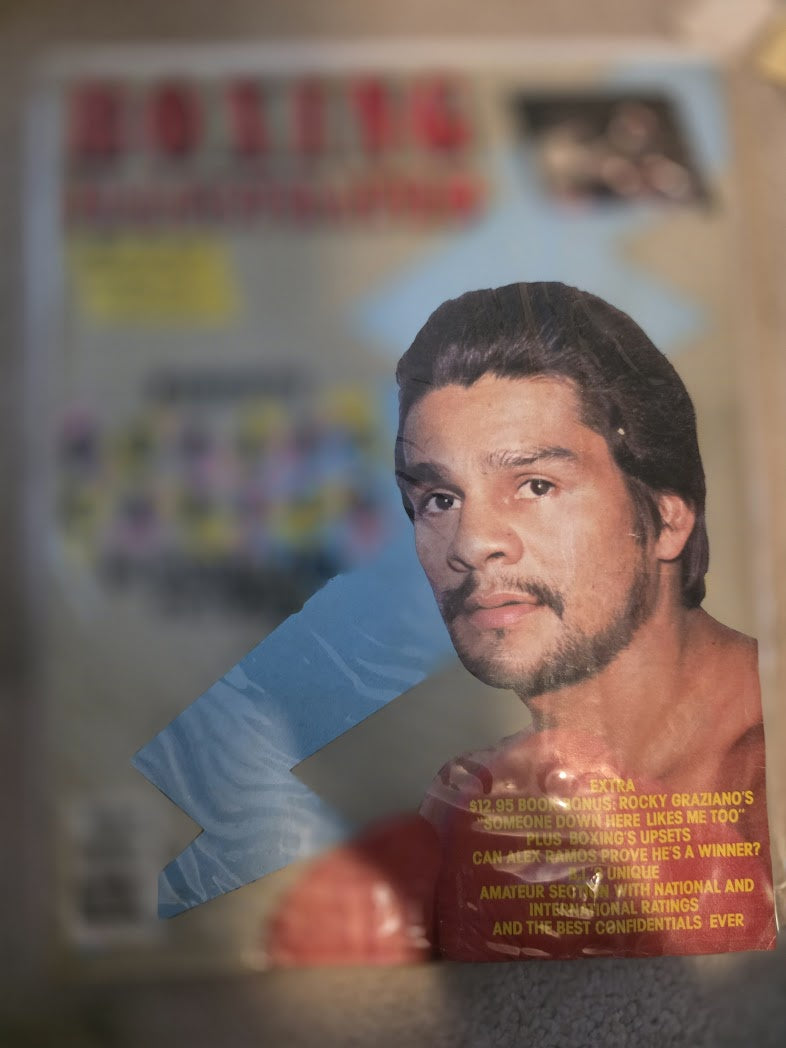 boxing illustrated magazine november 1982