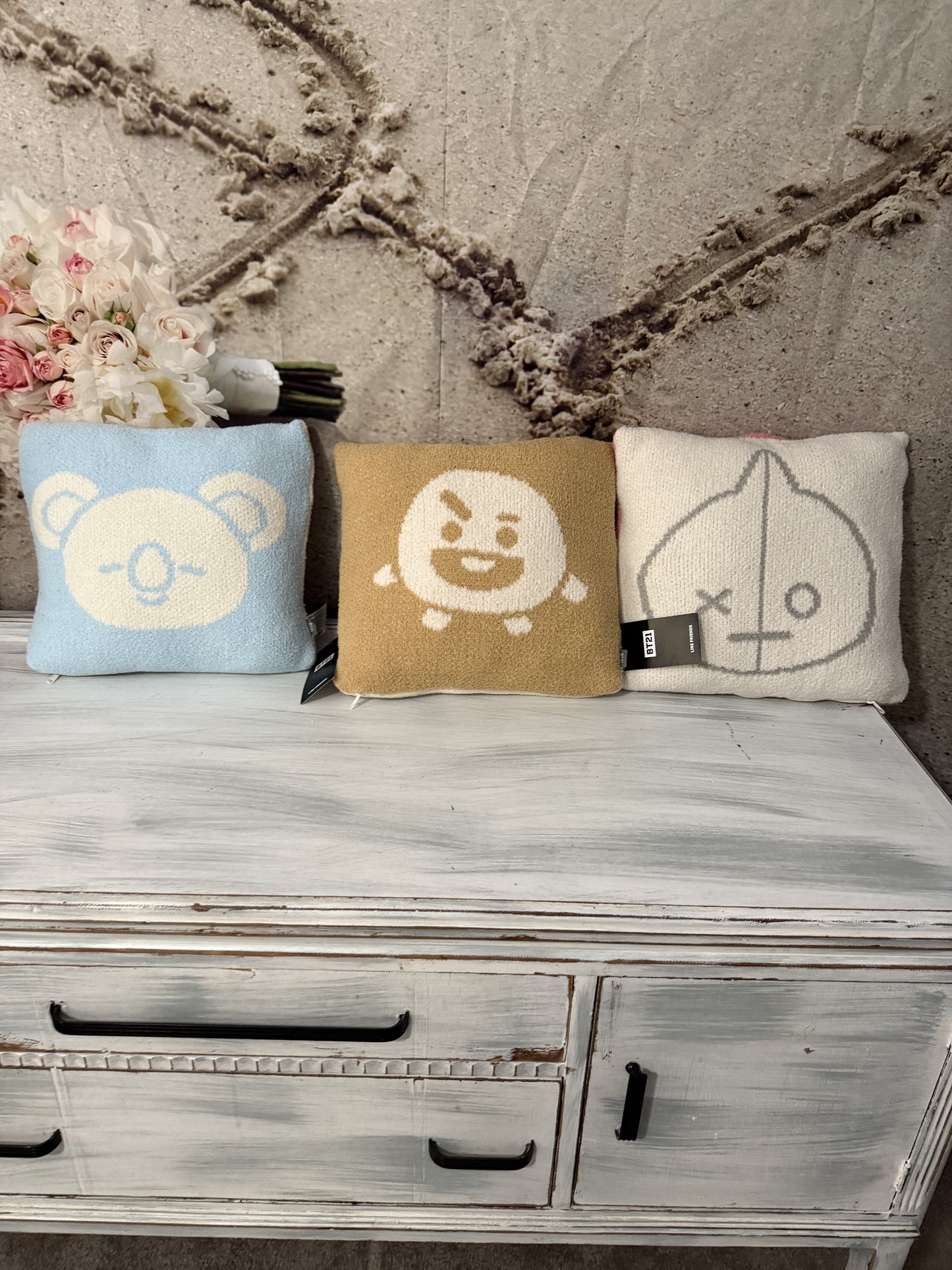 BT21 Line Friends Reversible Cushion Tata & Van